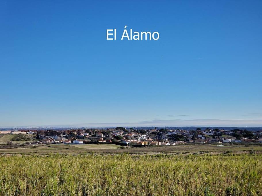 Primera Planta Completa, El Álamo Esterno foto